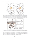 厚生労働科学研究費補助金（難治性疾患克服研究事業）「Menkes 病・occipital horn 症候群の実態調査、早期診断基準確立、治療法開発に関する研究」平成23-24年度 総合研究報告書