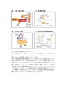 厚生労働科学研究費補助金（難治性疾患克服研究事業）「Menkes 病・occipital horn 症候群の実態調査、早期診断基準確立、治療法開発に関する研究」平成23-24年度 総合研究報告書