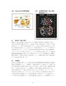 厚生労働科学研究費補助金（難治性疾患克服研究事業）「Menkes 病・occipital horn 症候群の実態調査、早期診断基準確立、治療法開発に関する研究」平成23-24年度 総合研究報告書