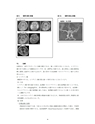 厚生労働科学研究費補助金（難治性疾患克服研究事業）「Menkes 病・occipital horn 症候群の実態調査、早期診断基準確立、治療法開発に関する研究」平成23-24年度 総合研究報告書