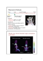 厚生労働科学研究費補助金（難治性疾患克服研究事業）「Menkes 病・occipital horn 症候群の実態調査、早期診断基準確立、治療法開発に関する研究」平成24年度 総括・分担研究報告書