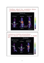 厚生労働科学研究費補助金（難治性疾患克服研究事業）「Menkes 病・occipital horn 症候群の実態調査、早期診断基準確立、治療法開発に関する研究」平成24年度 総括・分担研究報告書