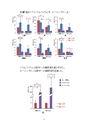 厚生労働科学研究費補助金（難治性疾患克服研究事業）「Menkes 病・occipital horn 症候群の実態調査、早期診断基準確立、治療法開発に関する研究」平成24年度 総括・分担研究報告書